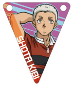 SAMPLE12