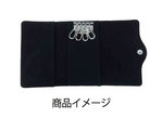 SAMPLE1