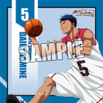 SAMPLE1