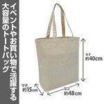 SAMPLE2