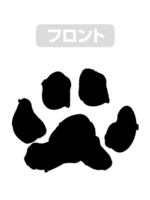 SAMPLE2