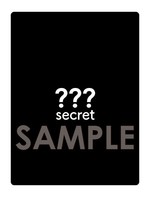 SAMPLE11