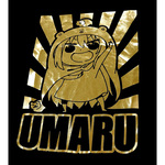 SAMPLE1