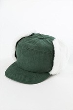 SAMPLE1
